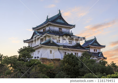 和歌山縣和歌山市和歌山城的夜景 118179451
