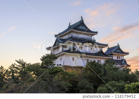 和歌山縣和歌山市和歌山城的夜景 和歌山縣和歌山市和歌山城的夜景 118179452