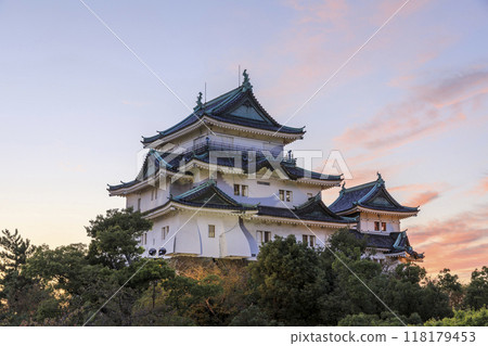 和歌山縣和歌山市和歌山城的夜景 和歌山縣和歌山市和歌山城的夜景 118179453