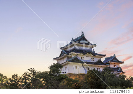和歌山縣和歌山市和歌山城的夜景 118179455