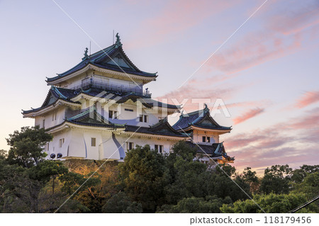 和歌山縣和歌山市和歌山城的夜景 和歌山縣和歌山市和歌山城的夜景 118179456