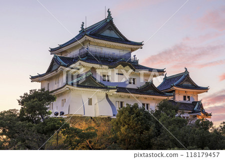 和歌山縣和歌山市和歌山城的夜景 118179457