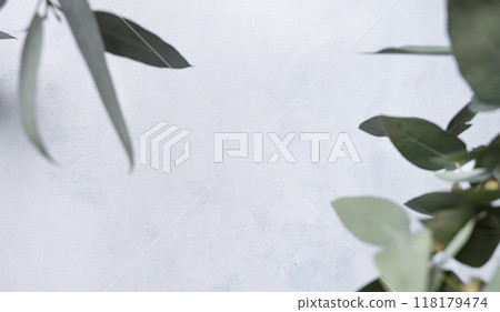 Branches of fresh eucalyptus  on a light textured  background. Top view 118179474