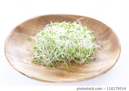 Broccoli Sprout 118179534