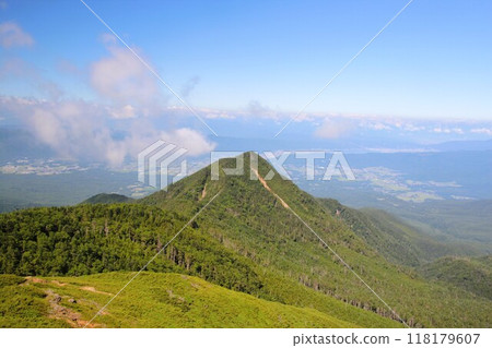 Pine trees on the peak seen from Mt. Iodake 118179607