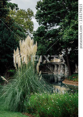 A serene pond surrounded by tall trees and lush grass in a park 118179815