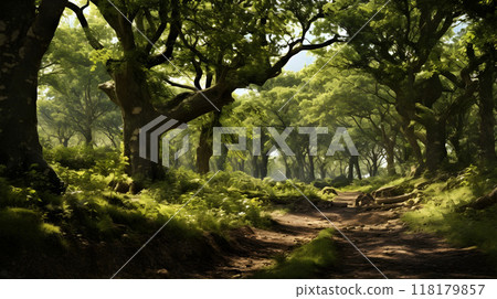 Tranquil forest path surrounded by lush greenery 118179857