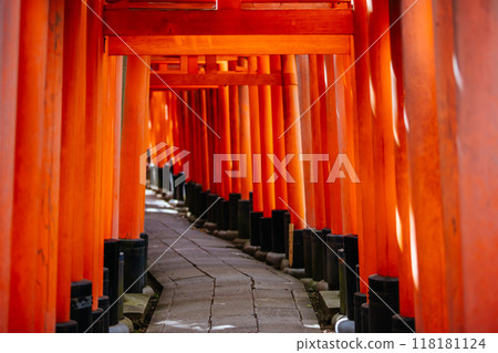 Fushimi Inari Shrine Kyoto Japan 118181124