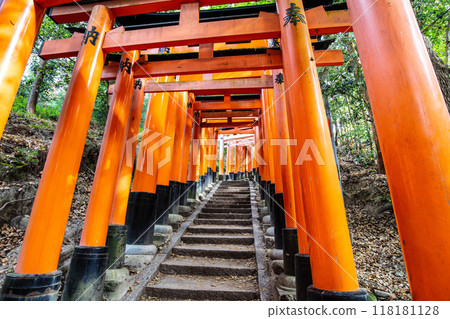 Fushimi Inari Shrine Kyoto Japan 118181128