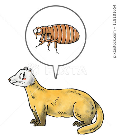 Marten and Flea 118181654