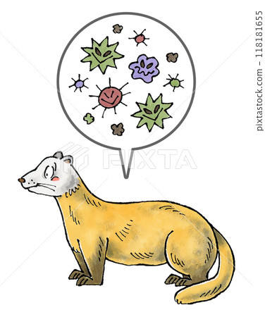 Martens and pathogens 118181655