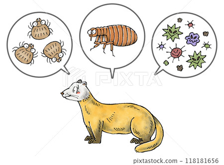 Martens and parasites (mites, fleas, and pathogens) 118181656