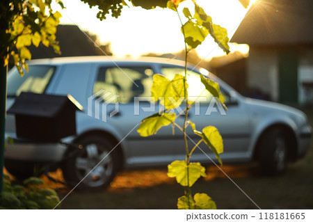 A conceptual image featuring a car, grapes, and a house, set against a sunny background. The composition symbolizes happiness, harmony, wellness, and success. Blurred background A conceptual image featuring a car, grapes, and a house, set against a sunny background. The composition symbolizes happiness, harmony, wellness, and success. Blurred background 118181665