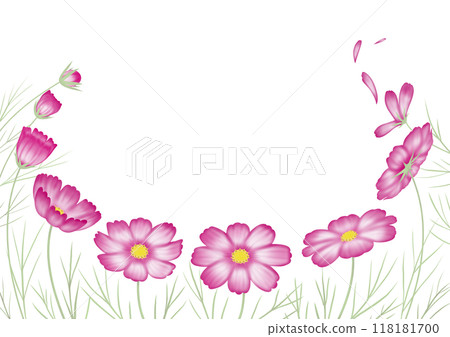 秋天的櫻花，曉，從花蕾到花開和秋天 118181700