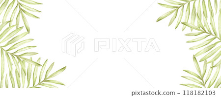 Hand drawn watercolor green palm tree leaves banner frame border isolated on white background. Can be used for business card, invitation, scrapbook and other printed products. 118182103