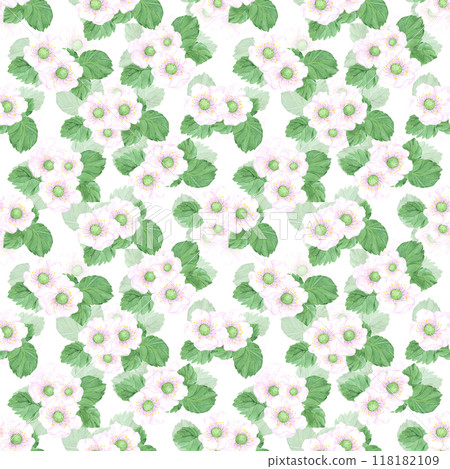 Hand drawn watercolor strawberry blossom with green leaves seamless pattern isolated on white background. Can be used for textile, fabric and other printed products. Hand drawn watercolor strawberry blossom with green leaves seamless pattern isolated on white background. Can be used for textile, fabric and other printed products. 118182109
