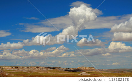 Bleak Landscape Petrified Forest National Park Arizona 118182178
