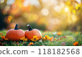 Colorful Pumpkins and Autumn Flowers on Green Grass 118182568