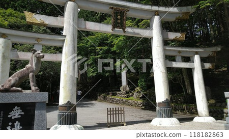 Torii gate and lion dogs at Mitake Shrine Torii gate and lion dogs at Mitake Shrine 118182863
