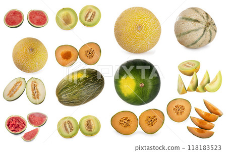 group of melon in studio group of melon in studio 118183523