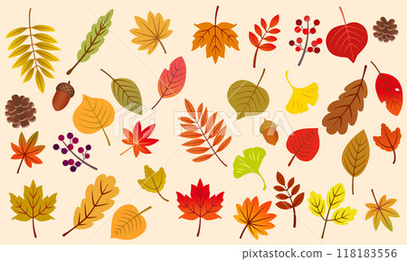 Autumn leaves illustration set 02 118183556