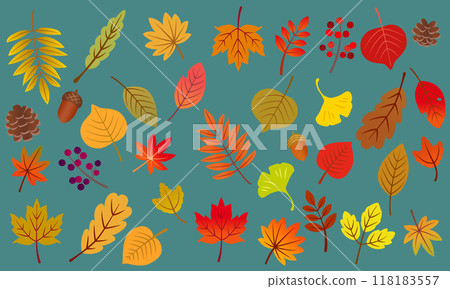 Autumn leaves illustration set 03 118183557
