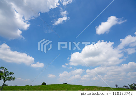 Summer blue sky and meadow Summer blue sky and meadow 118183742