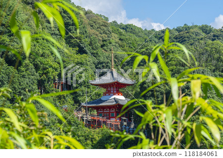 奈良朝來孫子寺多寶塔 奈良朝來孫子寺多寶塔 118184061