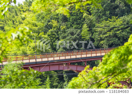 信義大橋和大門水壩公園的壯麗景色 信義大橋和大門水壩公園的壯麗景色 118184083