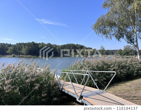 Metal wooden footbridge and many rushes near lake sunny autumn summer day in Lithuania, Druskininkai 118184137