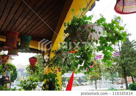 越南沙巴城市景觀 118185814