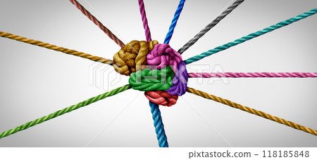 Neural Pathways Neural Pathways 118185848