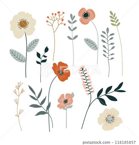 Set of hand drawn floral elements. Vector illustration for your design.	 118185857
