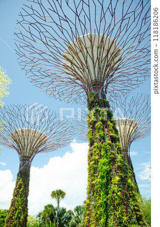 giant tree building at Garden by the Bay, Singapore in sunny day 118186206