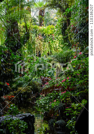 tropical forest in cloud forest at Garden by the Bay, Singapore 118186207