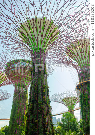 giant tree building at Garden by the Bay, Singapore in sunny day 118186208