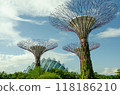 giant tree building at Garden by the Bay, Singapore in sunny day 118186210