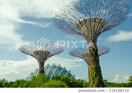 giant tree building at Garden by the Bay, Singapore in sunny day 118186210