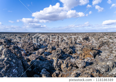Lichen-covered volcanic landscape on Reykjanes Peninsula, Iceland. 118186389