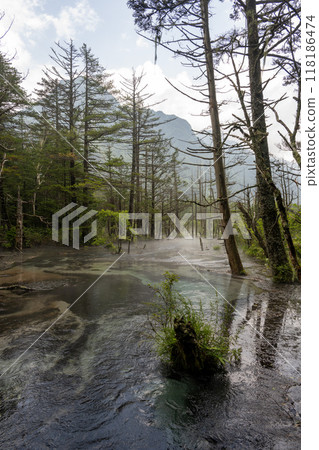 Summer in Kamikochi, Dakezawa Marshland/Nagano Prefecture 118186474