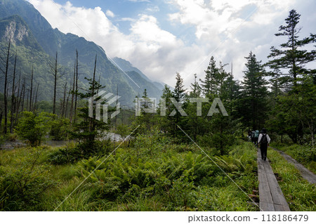 Summer in Kamikochi, Dakezawa Marshland/Nagano Prefecture 118186479