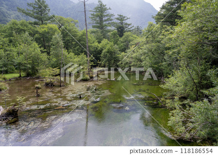 夏季的上高地、海濱長廊風景/長野縣 夏季的上高地、海濱長廊風景/長野縣 118186554