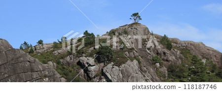 Single tree growing on top of a rocky hill, Hellvik, Norway. 118187746