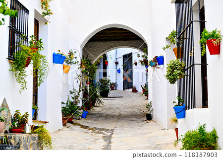 El Gastor, typical streets and white houses of the white villages Andalusia, Cadiz, Spain El Gastor, typical streets and white houses of the white villages Andalusia, Cadiz, Spain 118187903