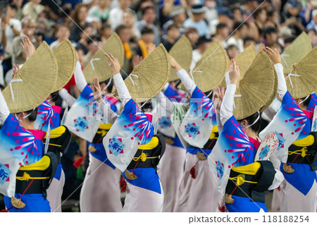 [德島市]阿波舞[Bon] 118188254