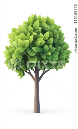 Trees isolated on white background, tropical trees isolated used for design, advertising and architecture Trees isolated on white background, tropical trees isolated used for design, advertising and architecture 118189266