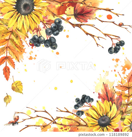 Autumn berries physalis, chokeberry, rowan leaves, maple, birch, rudbeckia flowers, tree branches and ladybugs. Watercolor illustrations. Blank template for text square. 118189892