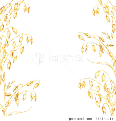 Oat stems and dry herbs square frame with multiple golden-yellow grains and dry leaves. Watercolor clipart design for healthy food branding, eco-friendly packaging, or natural wellness products 118189913