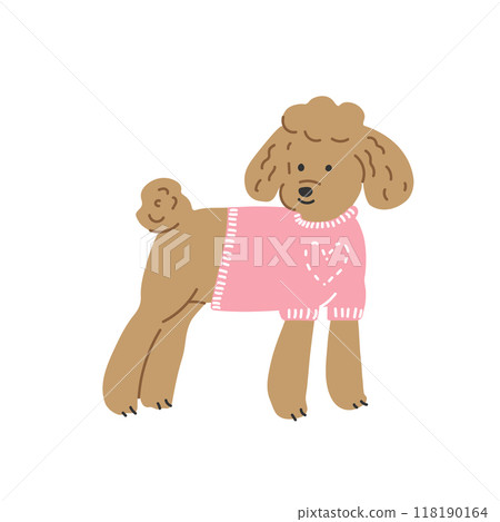poodle, dog, animal 118190164