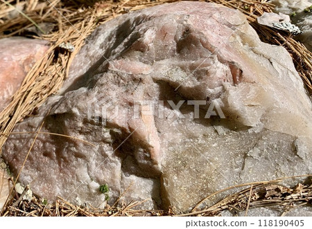 A pale pink stone that resembles a chunk of pork A pale pink stone that resembles a chunk of pork 118190405